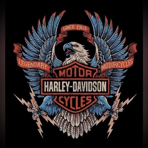 Magnet  - Picture 1 of 4